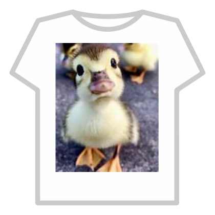 duck
