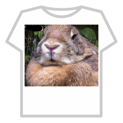 Flemish giant rabbit thumbnail