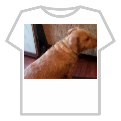 The cool shirt thumbnail