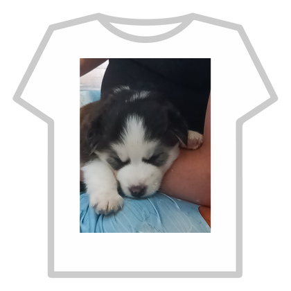 It's just a baby husky thumbnail